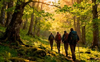 El Camino de Santiago en Mayo: Clima perfecto y naturaleza en su máximo esplendor